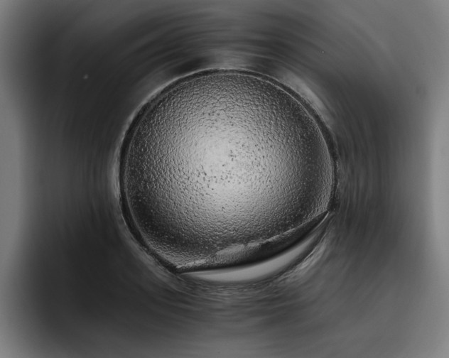 X0000093410939200710121114