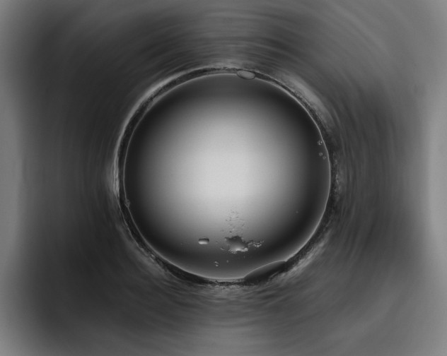 X0000093410940200710121114