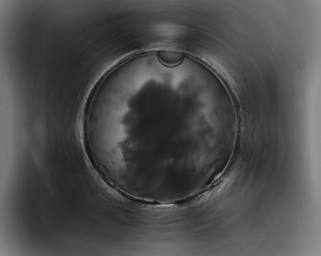 X0000093410941200710121114