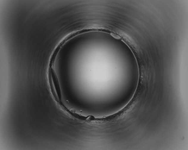 X0000093410942200710121114