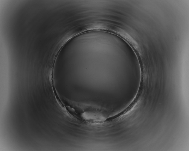 X0000093410945200710121114