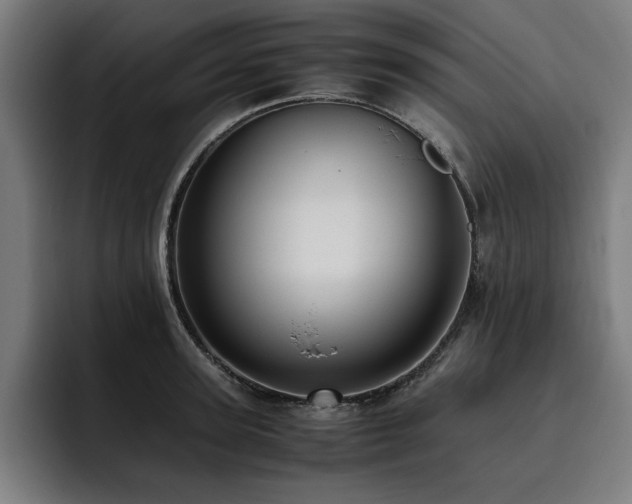 X0000093410947200710121114