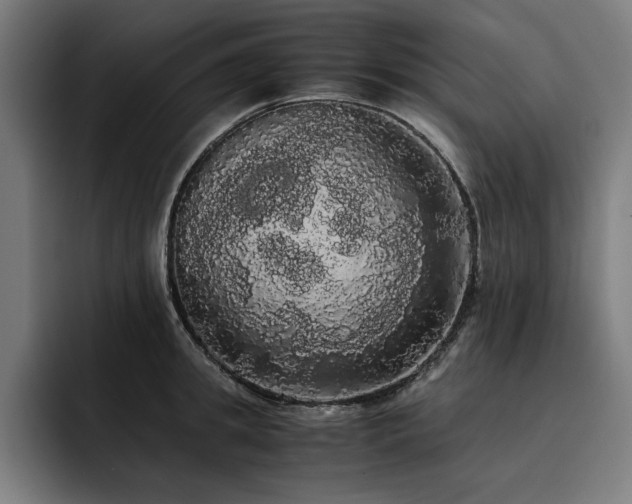 X0000093410949200710121114