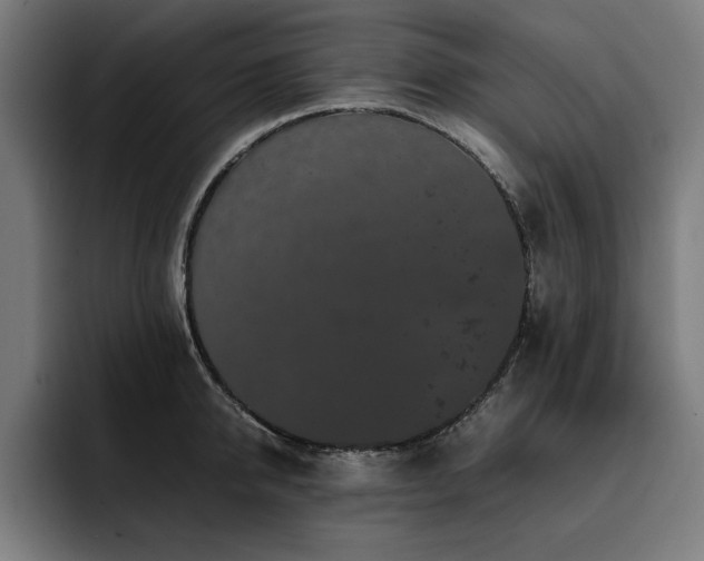X0000093410950200710121114