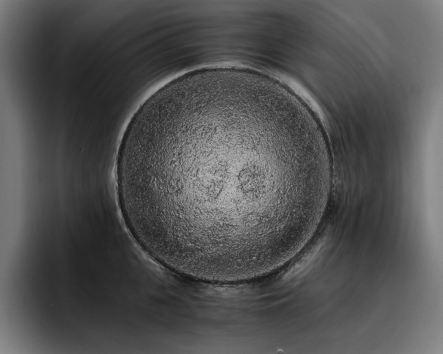 X0000093410951200710121114