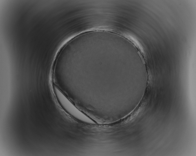 X0000093410952200710121114