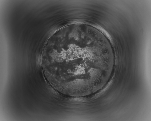 X0000093410953200710121114
