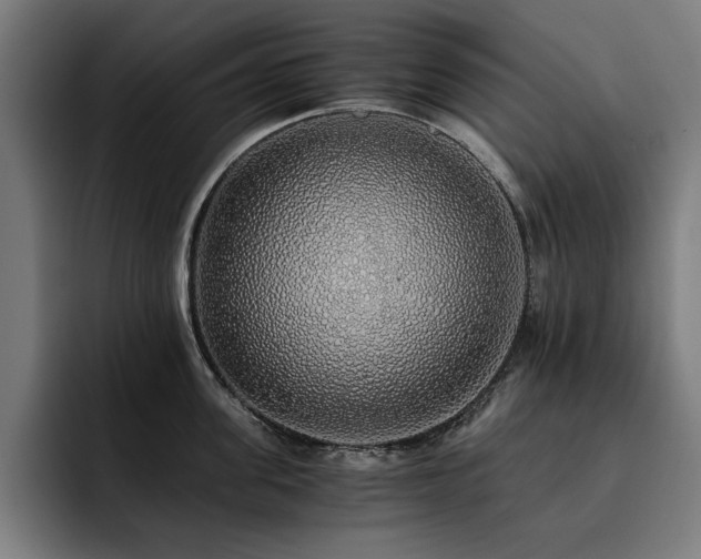X0000093410955200710121114
