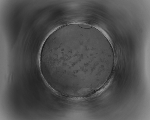 X0000093410957200710121115