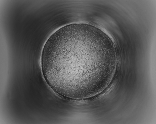 X0000093410959200710121115