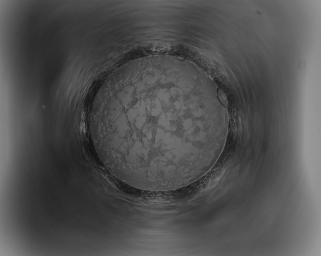 X0000093410962200710121114
