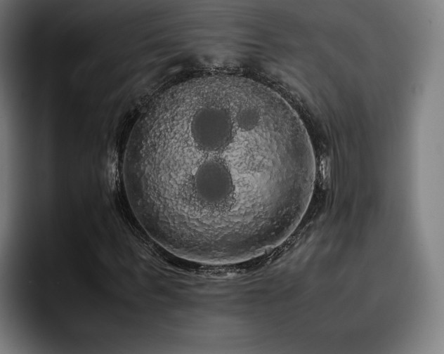 X0000093410963200710121114