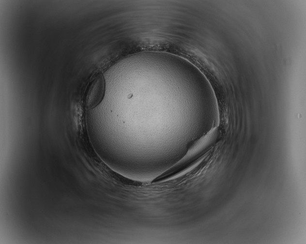 X0000093410964200710121114
