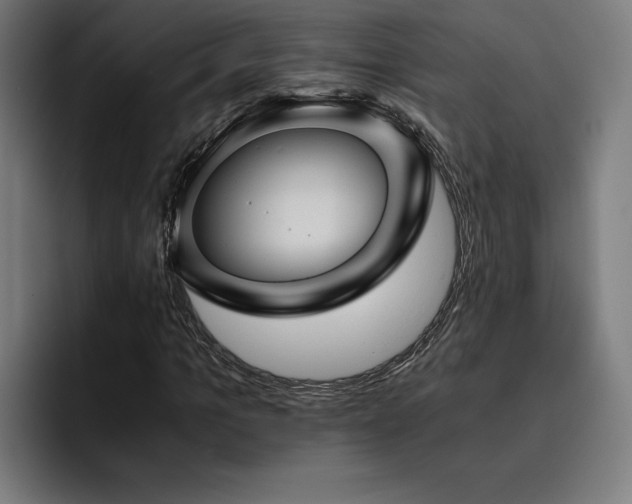 X0000093410965200710121114