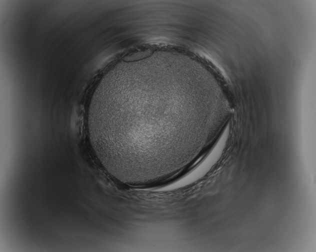 X0000093410968200710121114