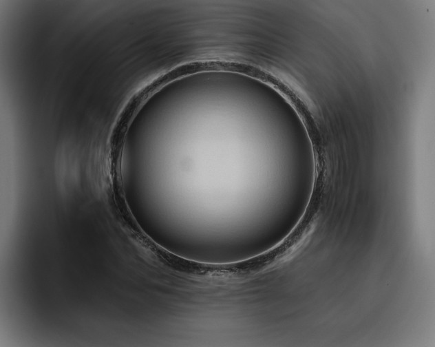X0000093410974200710121114