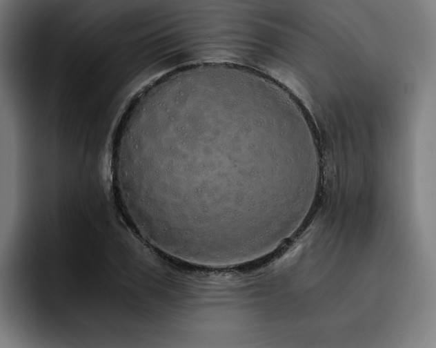 X0000093410979200710121114