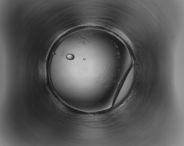 X0000093410980200710121114