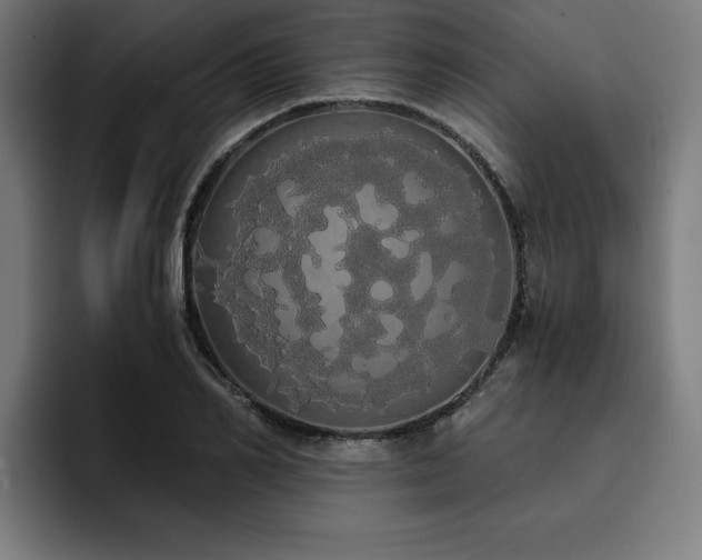 X0000093410982200710121114