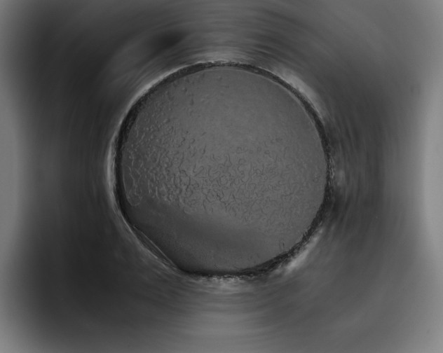X0000093410983200710121114