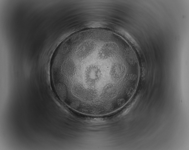 X0000093410986200710121114