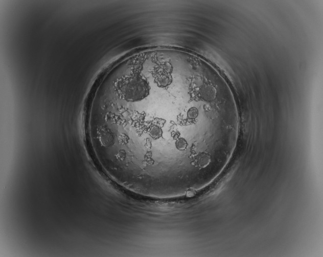 X0000093410987200710121114