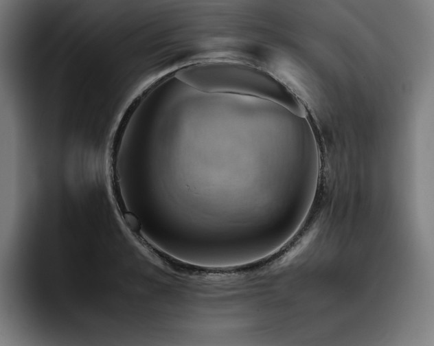 X0000093410989200710121114