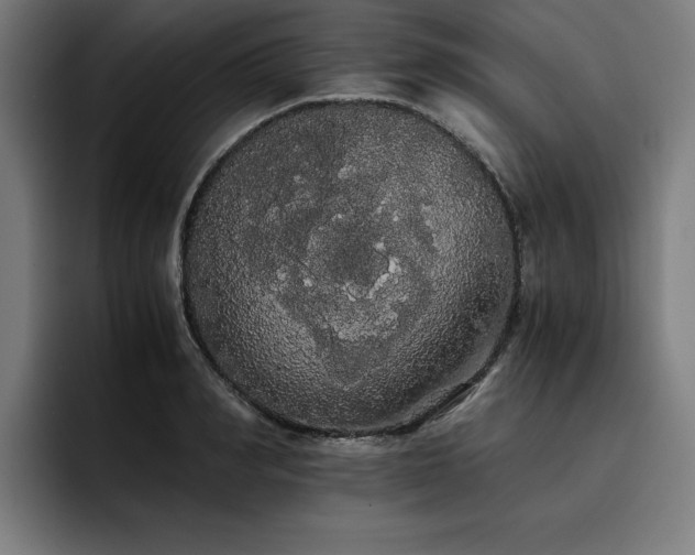 X0000093410990200710121114