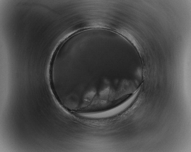 X0000093410995200710121114