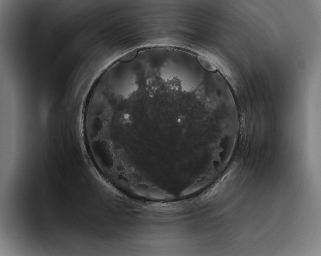 X0000093410998200710121114