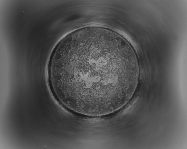 X0000093410999200710121114