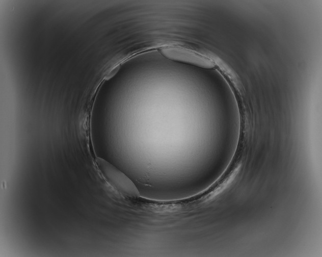 X0000093411001200710121114
