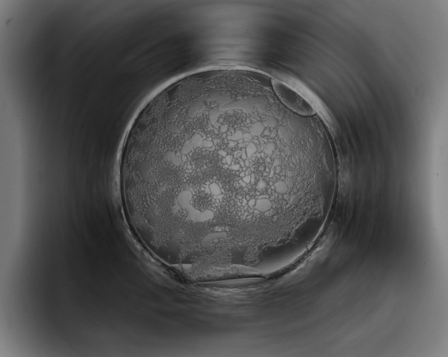 X0000093411004200710121113