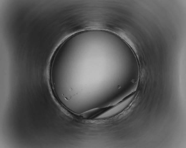 X0000093411005200710121113