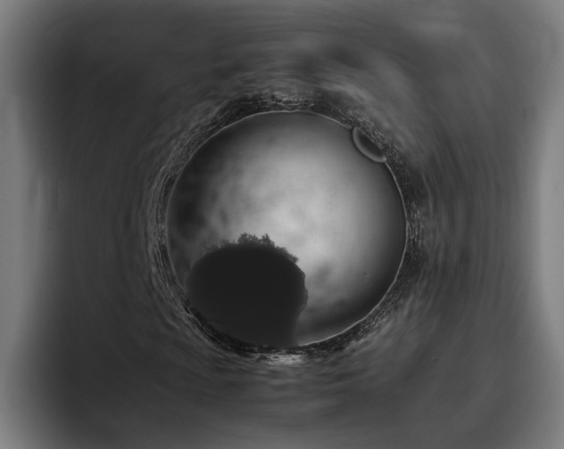 X0000093411009200710121113