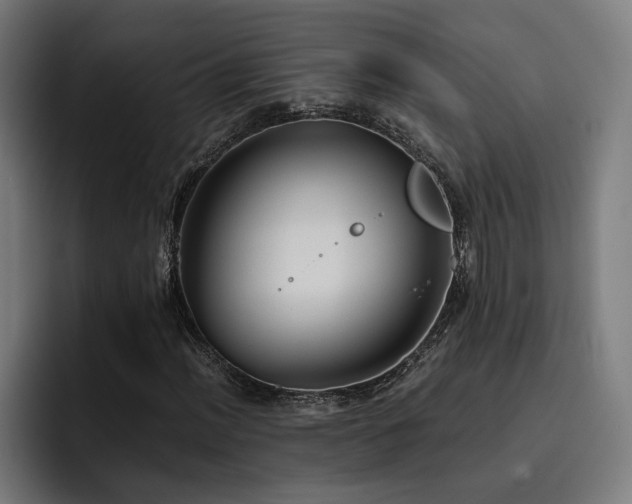 X0000093411012200710121113