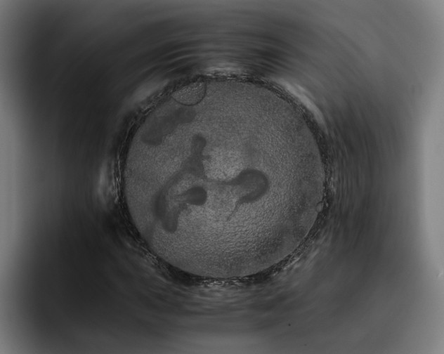 X0000093411015200710121113