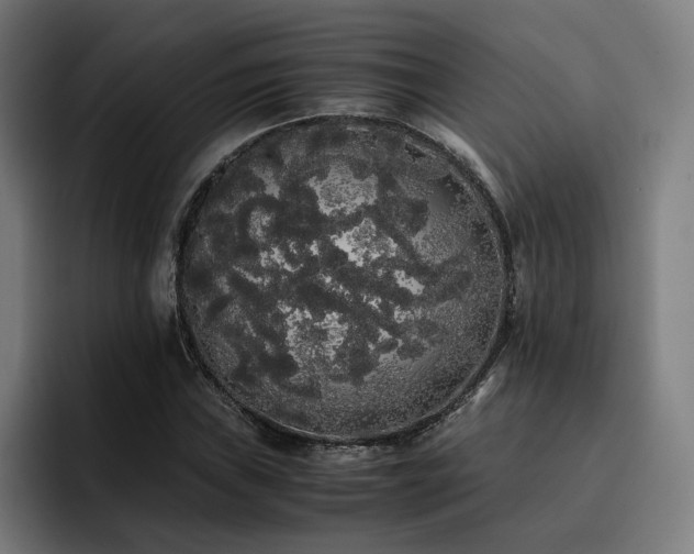 X0000093411019200710121113