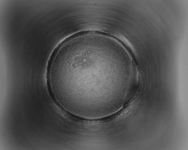 X0000093411020200710121113