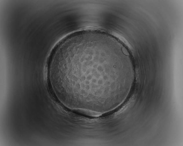 X0000093411021200710121113