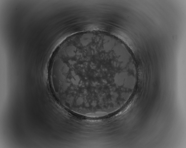 X0000093411023200710121113