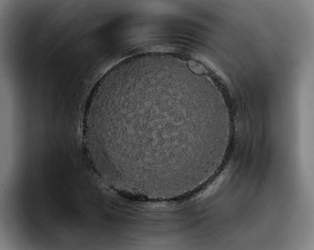 X0000093411025200710121113
