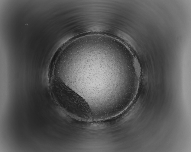 X0000093411026200710121113