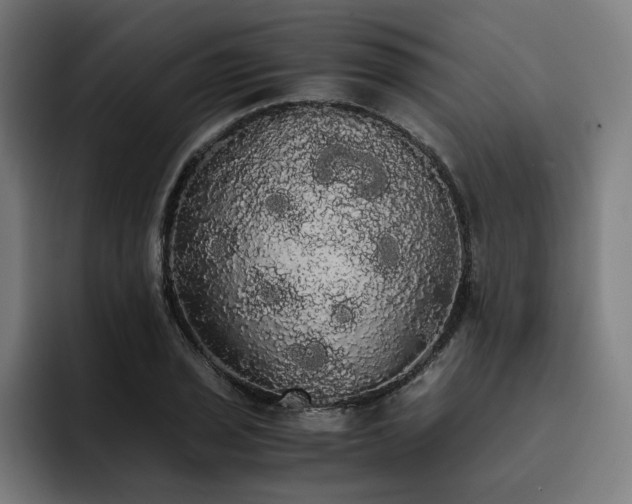 X0000093411029200710121113
