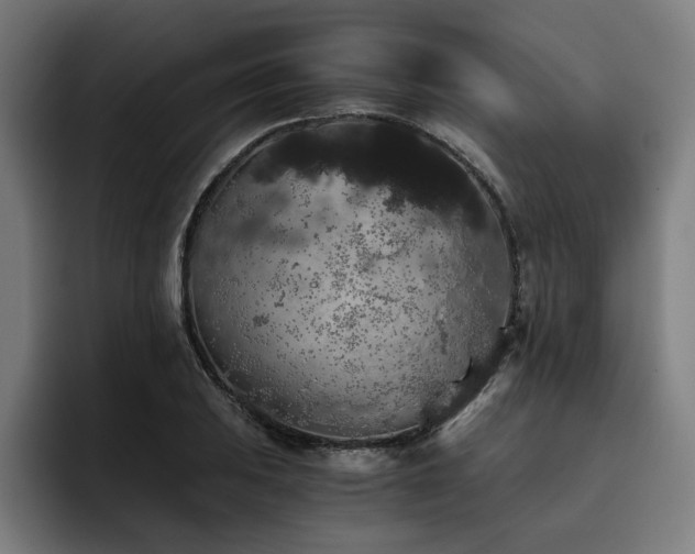 X0000093411031200710121113