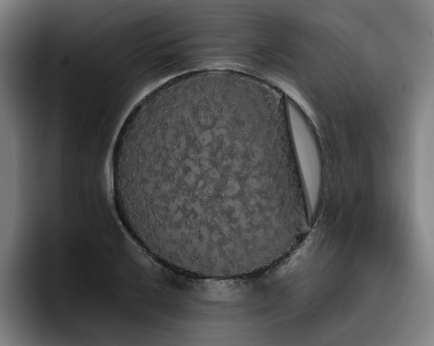 X0000093411032200710121113