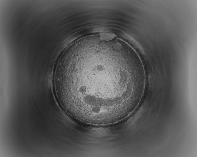 X0000093411033200710121113