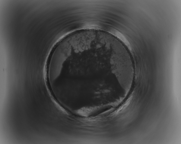 X0000093411037200710121113