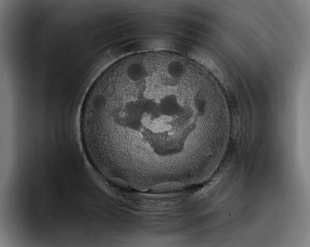 X0000093411039200710121113