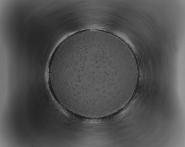 X0000093411040200710121113